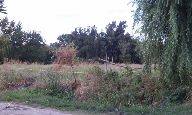 b12487bd0a1706a7344ceeb3cd1dfeea