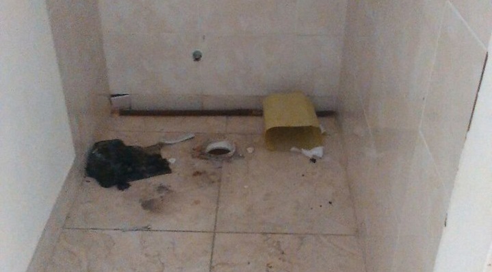 12688108_10205198418831742_587305898800446330_n