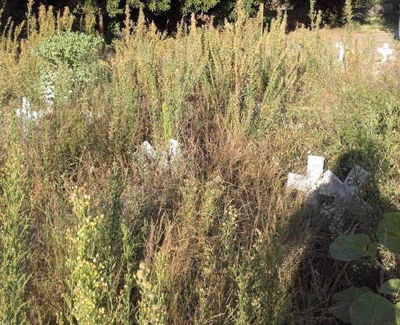 12324919_10204822541718019_2131458523_n