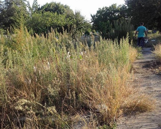 12443205_10204822541638017_911524574_n