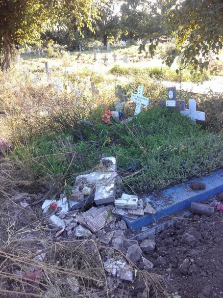 12527872_10204822541598016_679075539_n