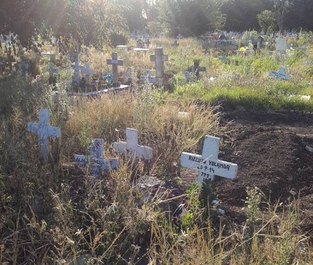 12674515_10204822541358010_351912824_n