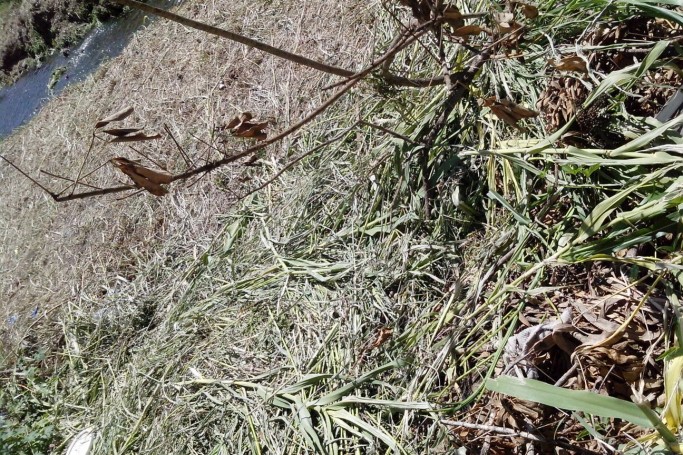 7f2c603bac2d969d2f837325b6d85b8f