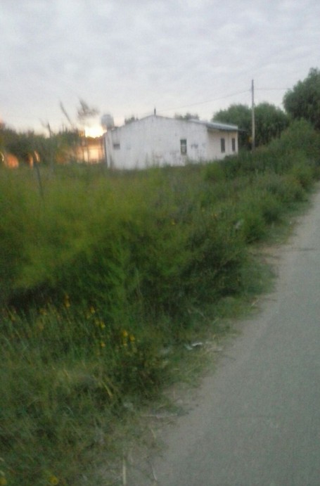 a2128e79c65be0166c42ff0f57c7f3e1