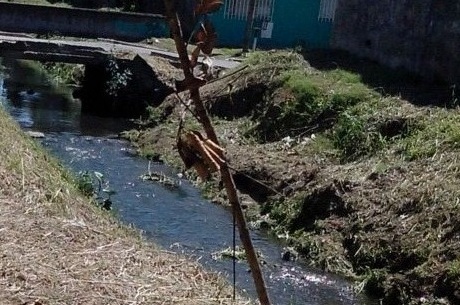 a797f5919614d6fa9a244581caeb0968