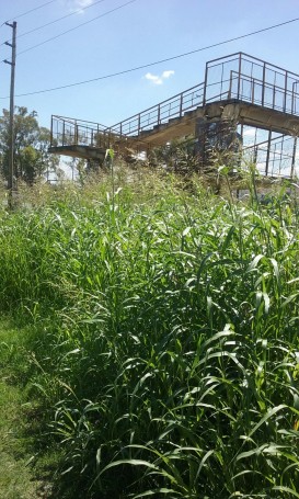 f2cd7c865cc8638ed8e2e91af3f2f72b