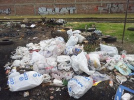 13933008_1208102795887925_945763124_n