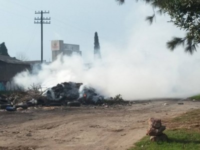 13936924_1208102772554594_1323626695_n