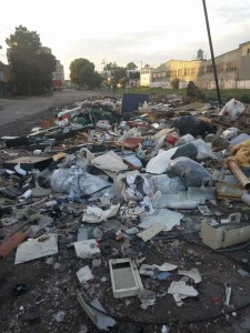 13937040_1208102765887928_1569024302_n