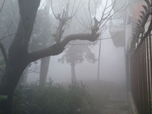 13941075_1208102742554597_1271973832_n