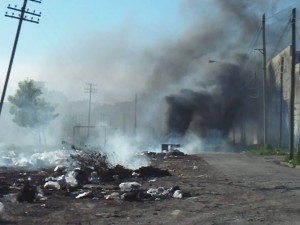 13942472_1208102712554600_224244366_n