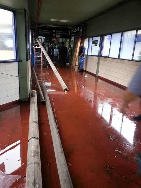 14721569_636992906462866_4599875866017074459_n