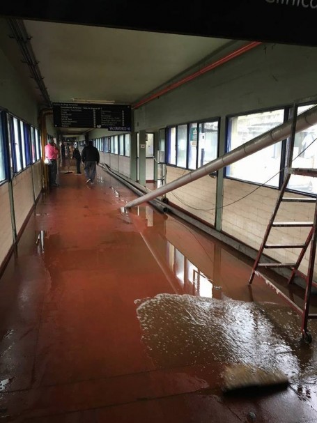 14732407_636992869796203_7229058224473092643_n