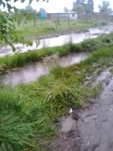 2016-11-01-video-00002743-mp4_snapshot_00-10_2016-11-01_12-42-00