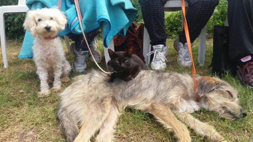 2016-11-19-photo-00021412