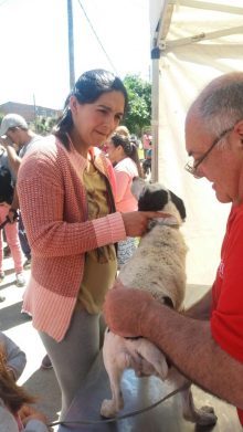 2016-11-22-photo-00000470