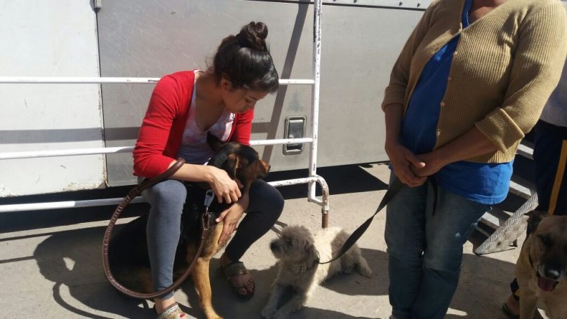 2016-11-22-photo-00000472