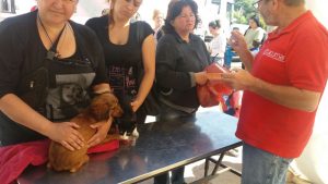 2016-11-22-photo-00000473