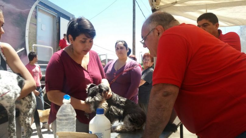 2016-11-22-photo-00000475