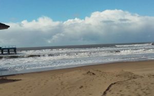 o_1468518268_47c5857e562a5741c6f705811c4e24f8