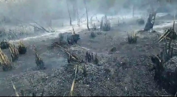 Hubo Un Feroz Incendio En Un Sector De La Reserva Natural De Ciudad Evita El Nacional De Matanza 9446