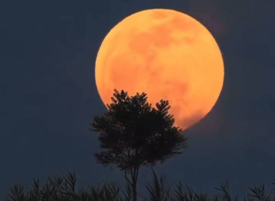 Luna llena en Aries del 29 de septiembre: Su influencia en cada signo ...