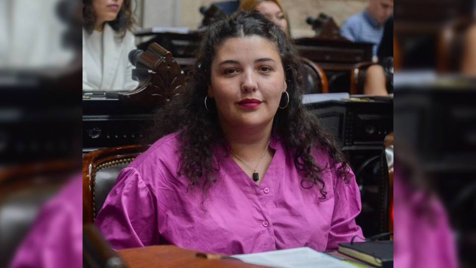 Brenda Vargas Matyi La caída de la Ley Ómnibus es una victoria de la